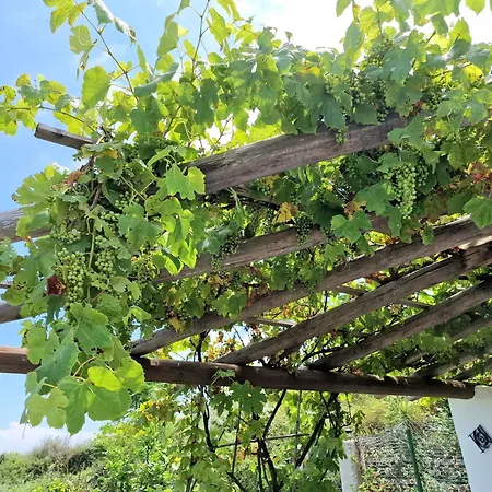 度假居 A Loggia *