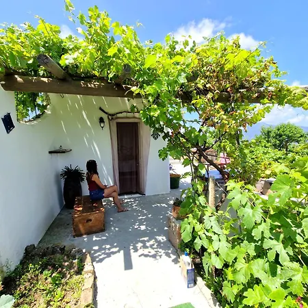 A Loggia Tatil Evi *