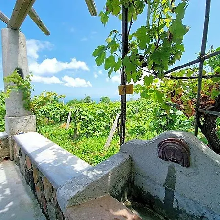 A Loggia Hébergement de vacances