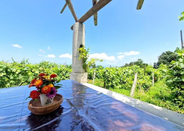 A Loggia Hébergement de vacances
