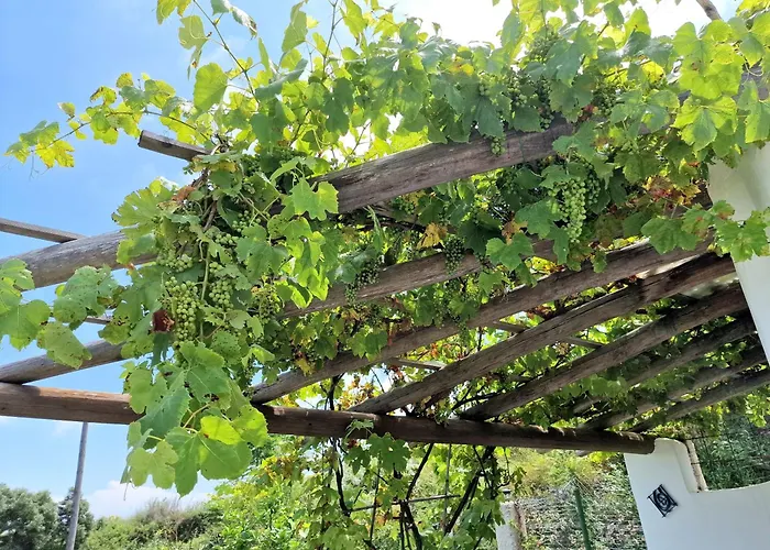 Hébergement de vacances A Loggia *